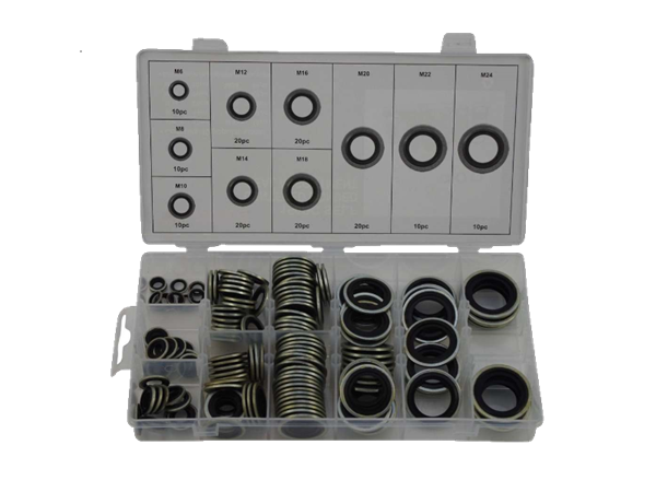 Carterplug ring assortiment 150 st.